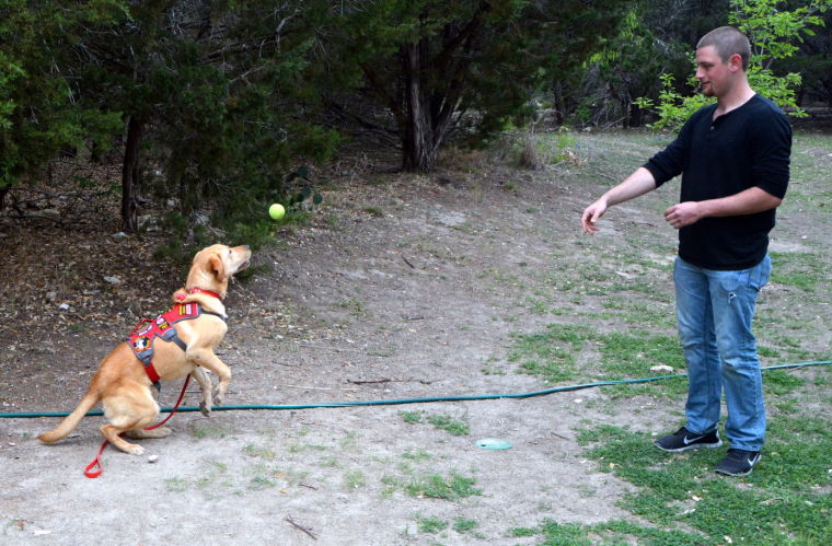 Alert dog graduation